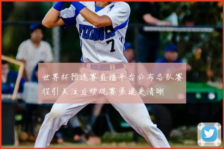 世界杯预选赛直播平台公布各队赛程引关注后续观赛渠道更清晰