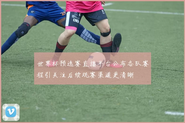 世界杯预选赛直播平台公布各队赛程引关注后续观赛渠道更清晰