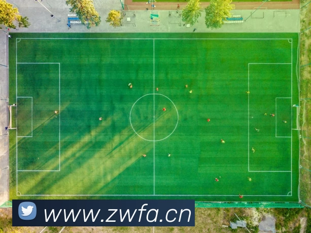 App Interface Preview